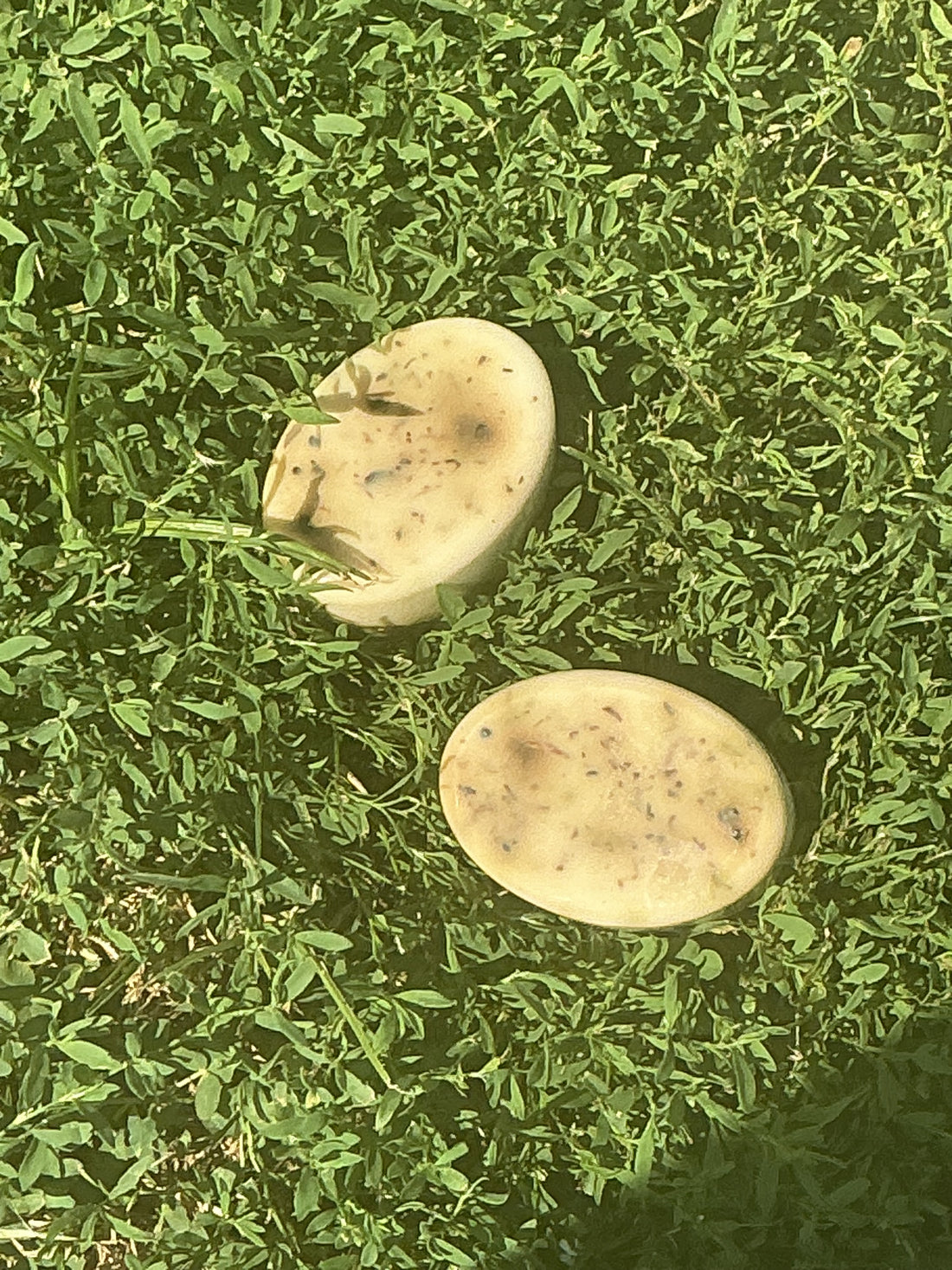 Non Infused Organic Shea Butter Soap